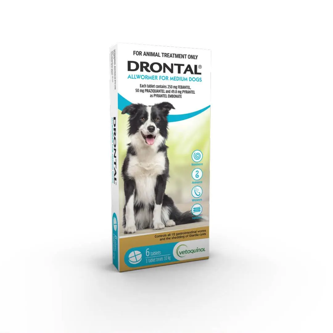 Drontal Allwormer Tablets Medium Dog 6 Pack.