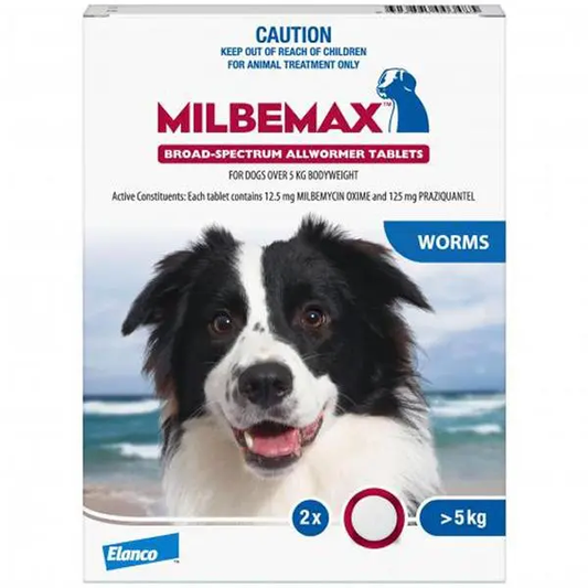 Milbemax Allwormer >5kg Dog 2 Pack.