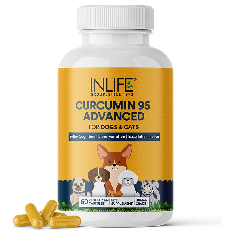 Inlife Curcumin with Piperine for Dogs Cats Pets | 95% Curcuminoids for Immunity, Ease Inflammation - 60 Veg. Capsules.